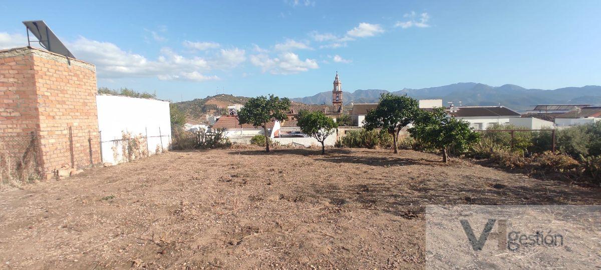For sale of house in Algodonales