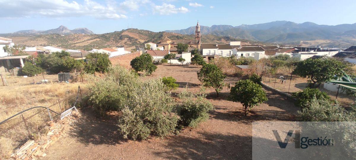 For sale of house in Algodonales
