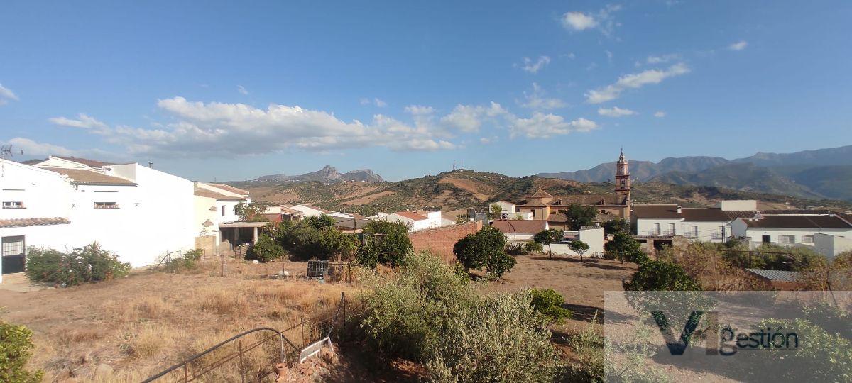 For sale of house in Algodonales