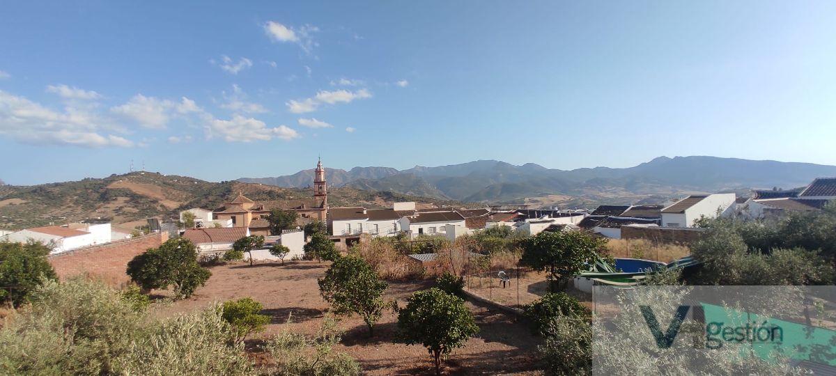 For sale of house in Algodonales