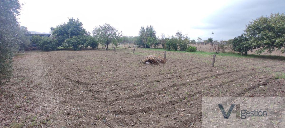 Venta de casa en Bornos