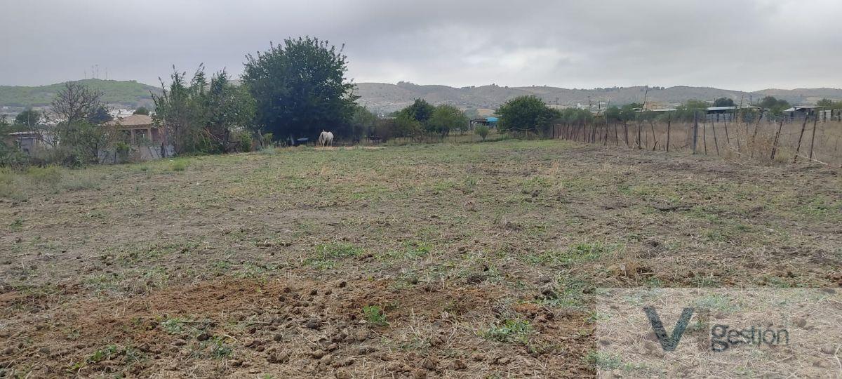 Venta de casa en Bornos