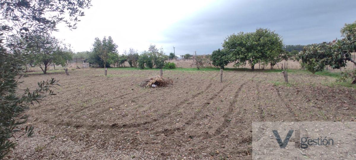 Venta de casa en Bornos