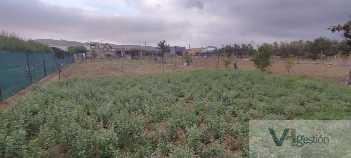 Venta de casa en Bornos