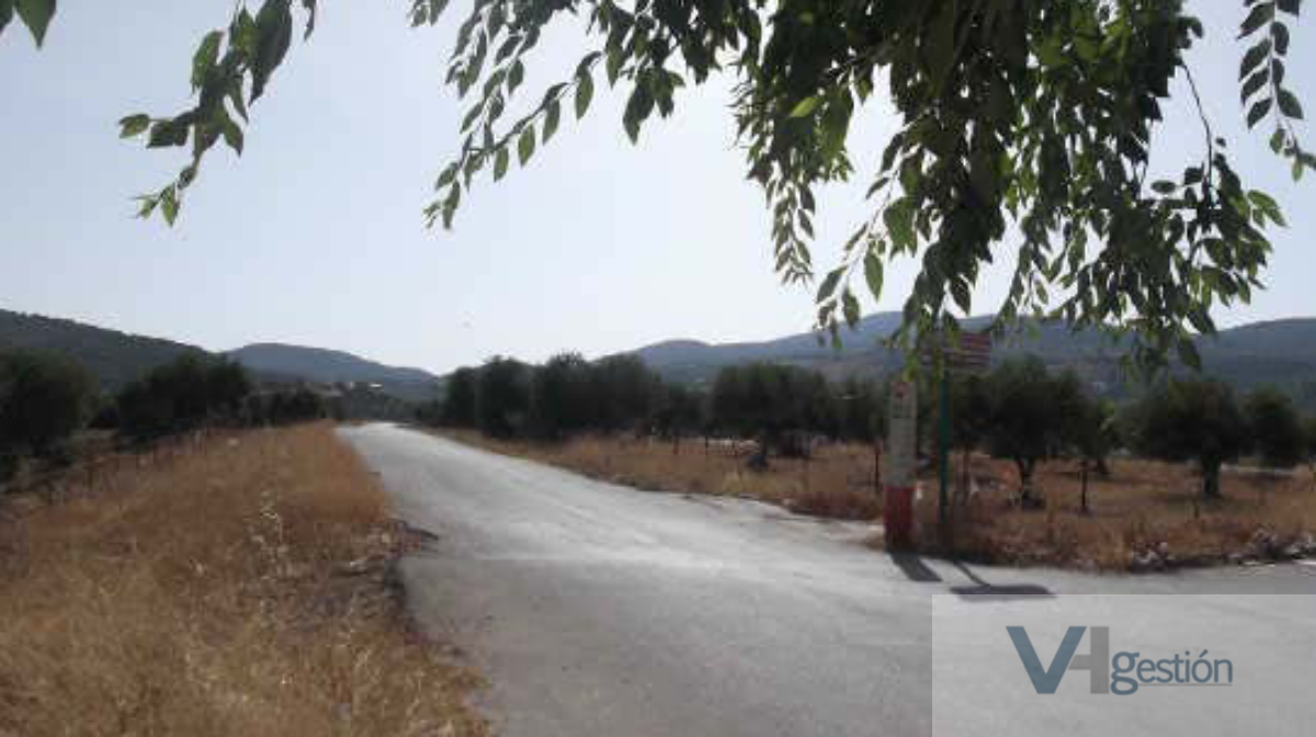 For sale of land in Puerto Serrano