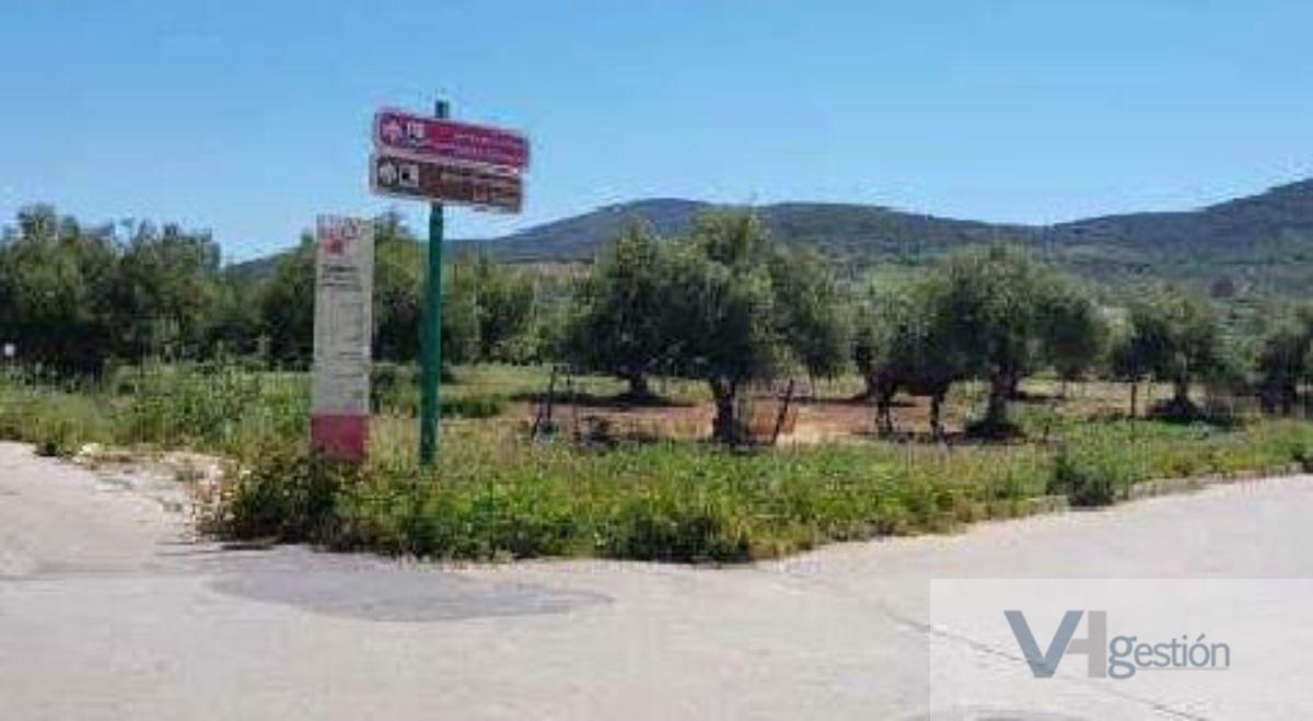 For sale of land in Puerto Serrano