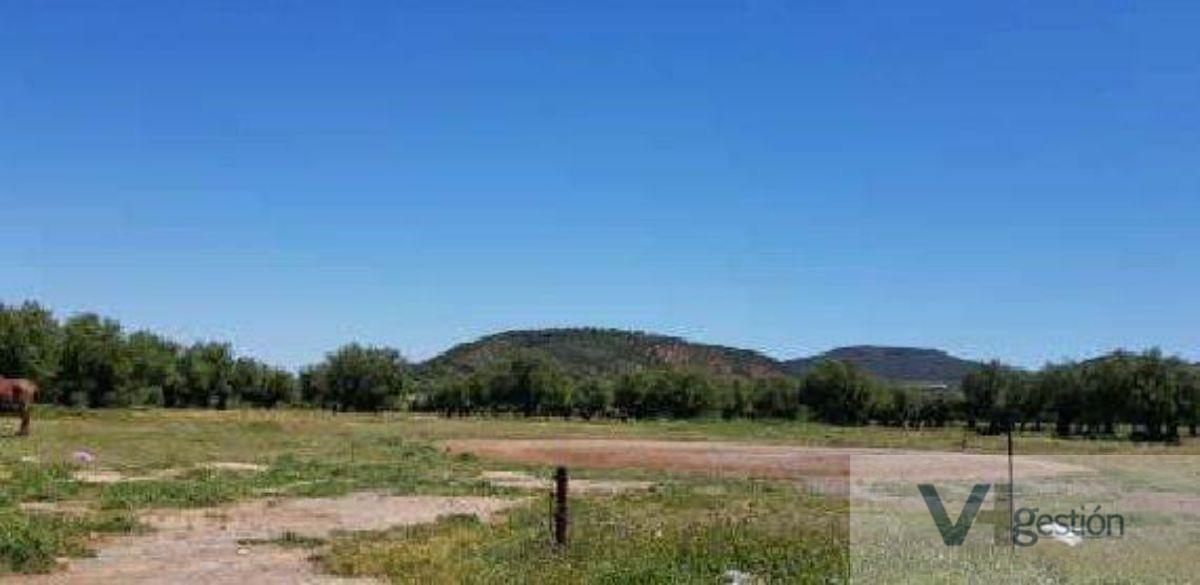 For sale of land in Puerto Serrano