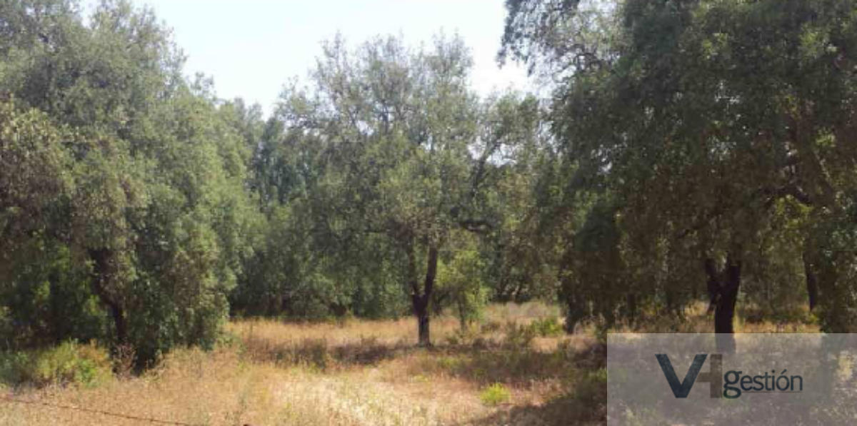 For sale of land in Ubrique