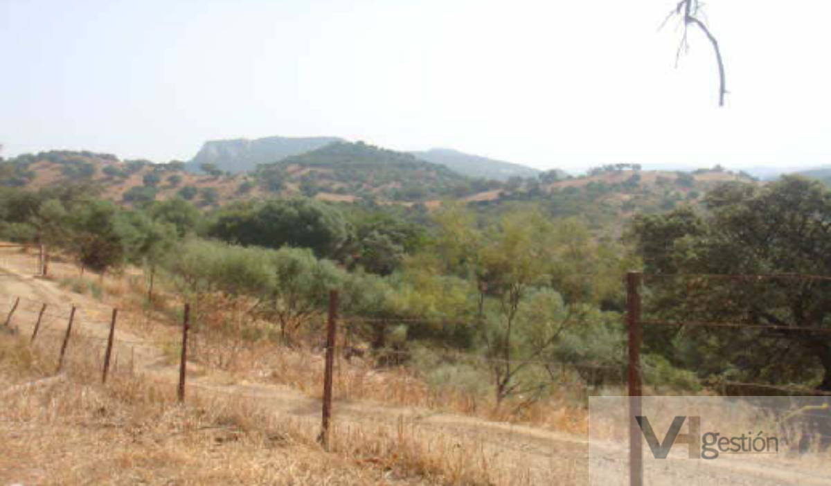 For sale of land in Ubrique