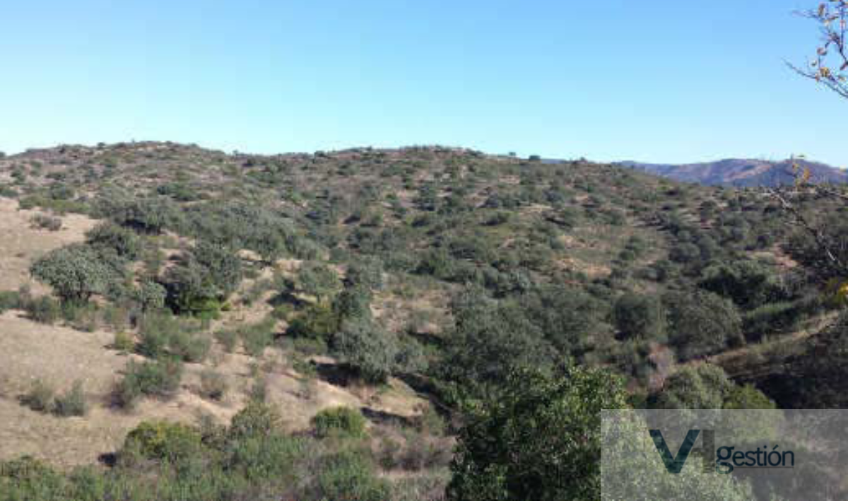 For sale of land in Ubrique