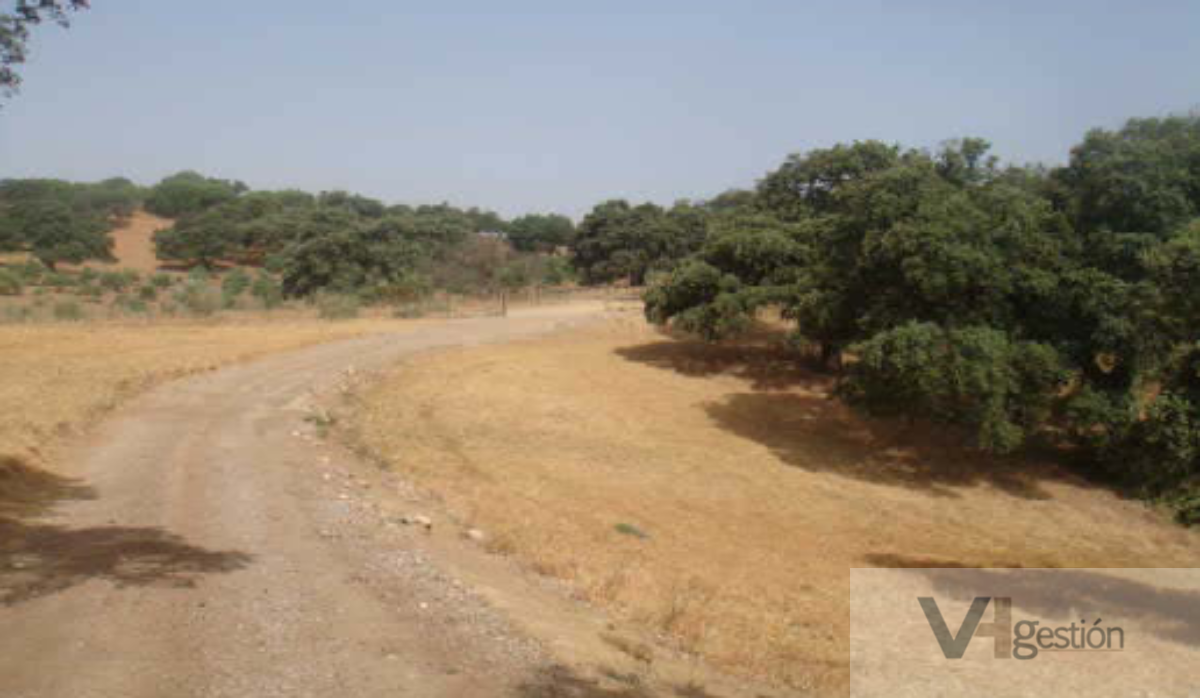 For sale of land in Ubrique