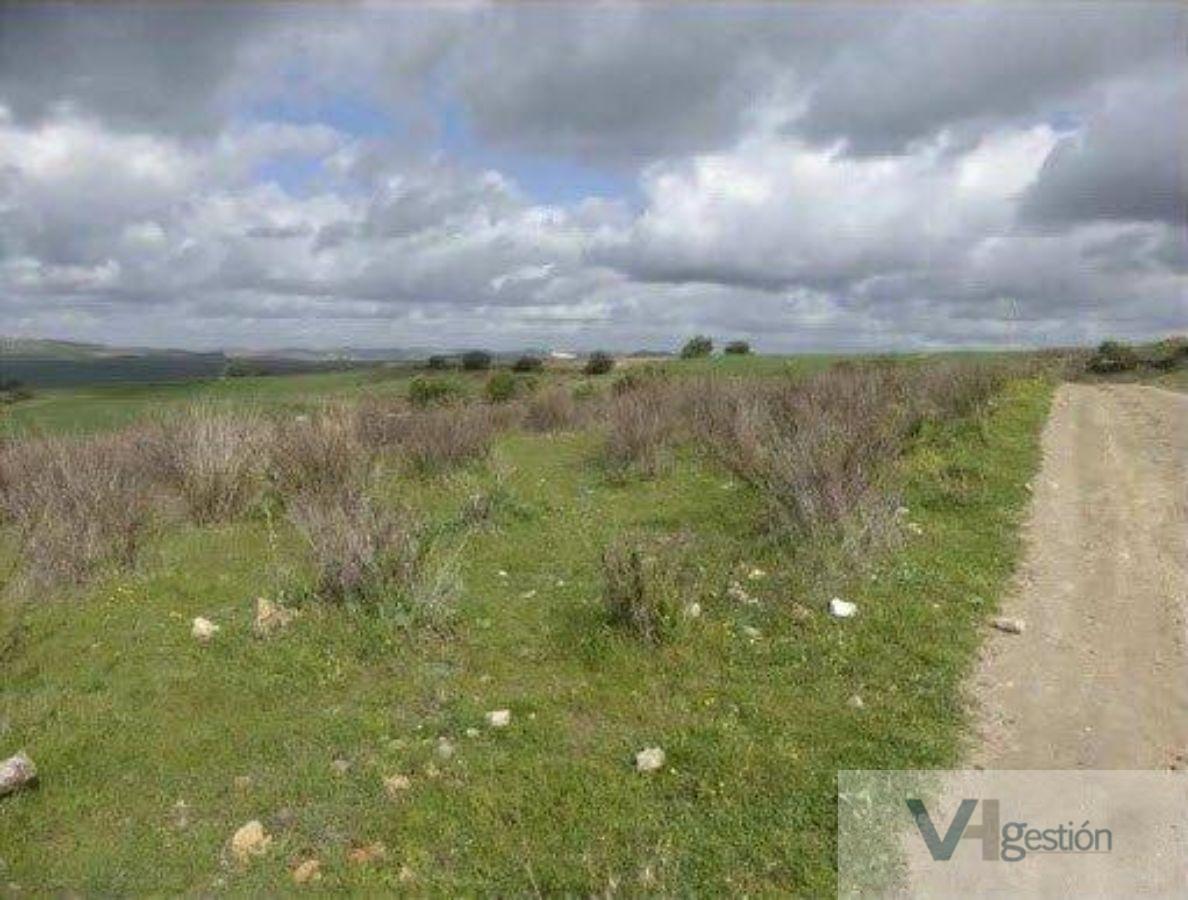 Venta de terreno en Arcos de la Frontera