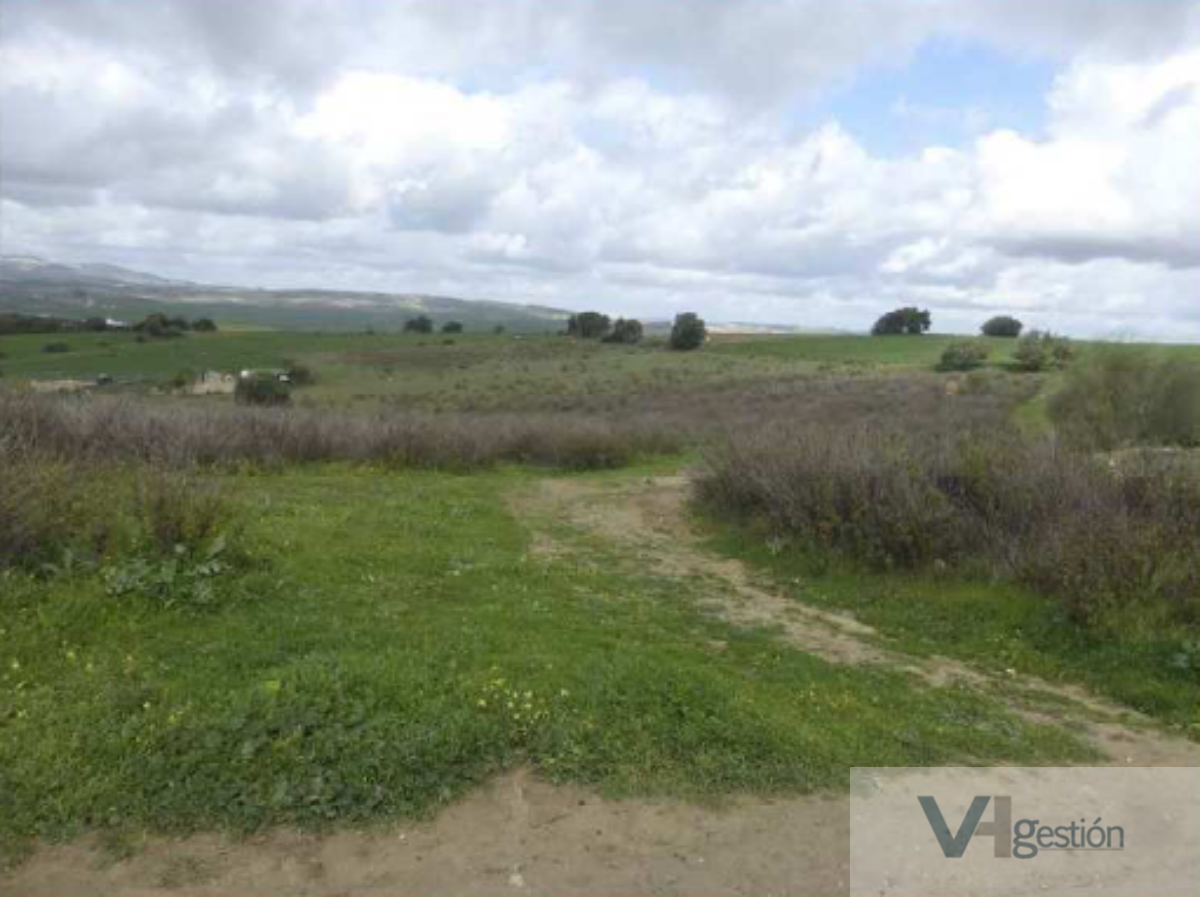 Venta de terreno en Arcos de la Frontera