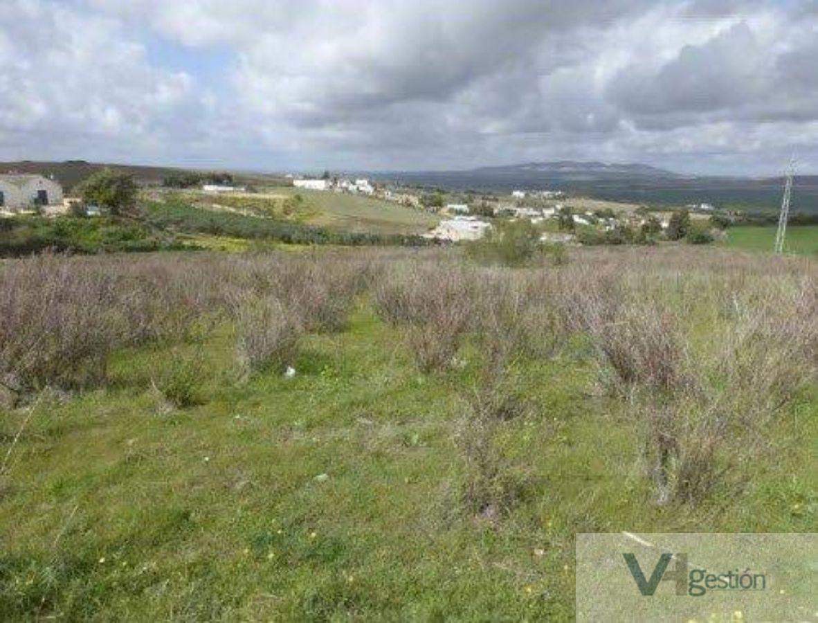 Venta de terreno en Arcos de la Frontera