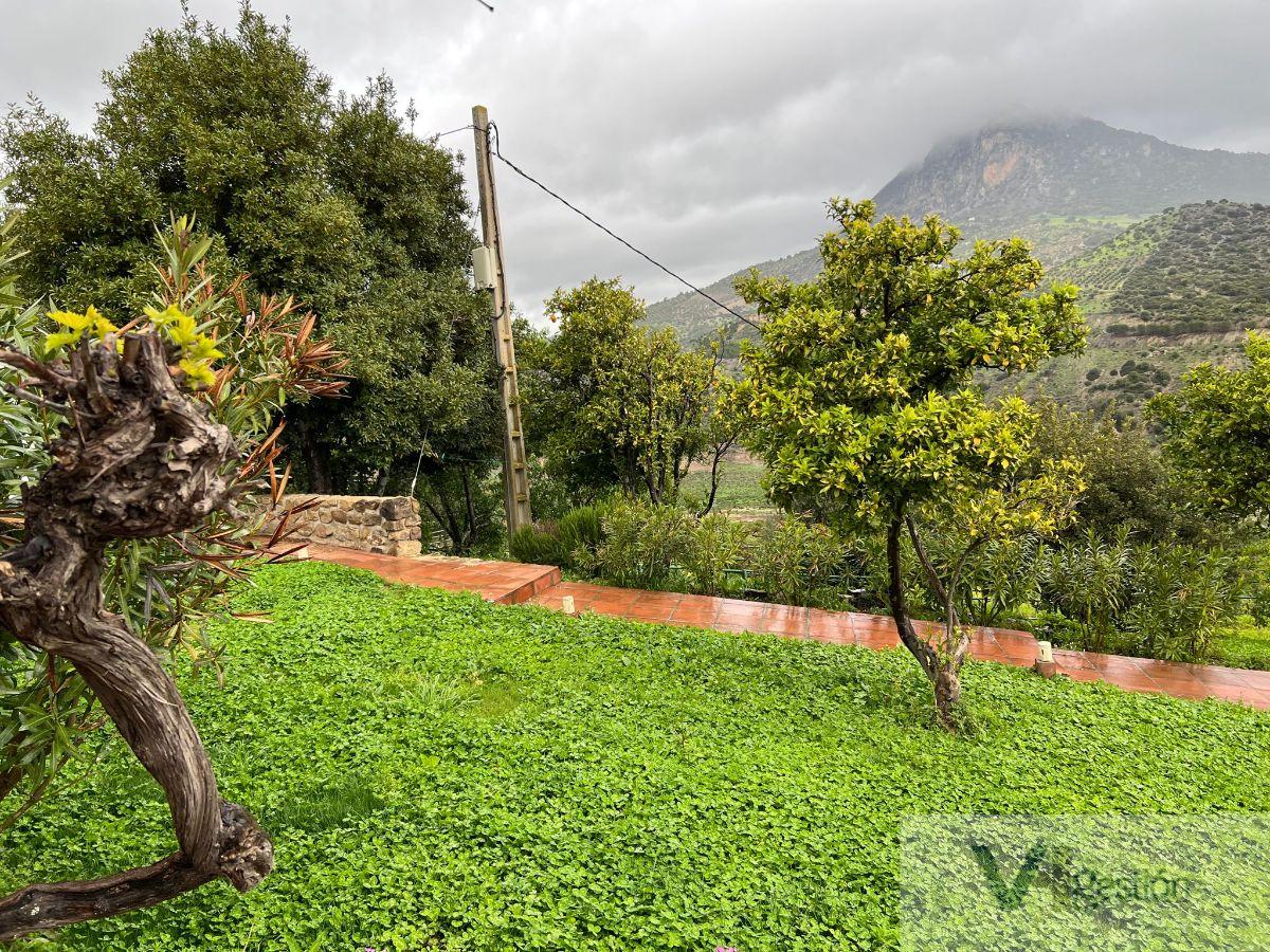 Venta de finca rústica en El Gastor