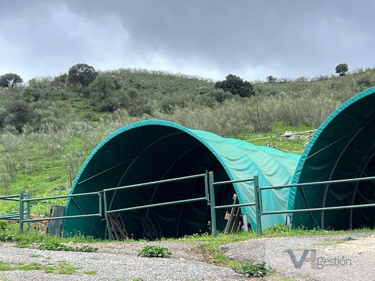 Venta de finca rústica en El Gastor