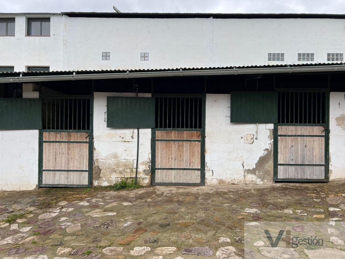 Venta de finca rústica en El Gastor