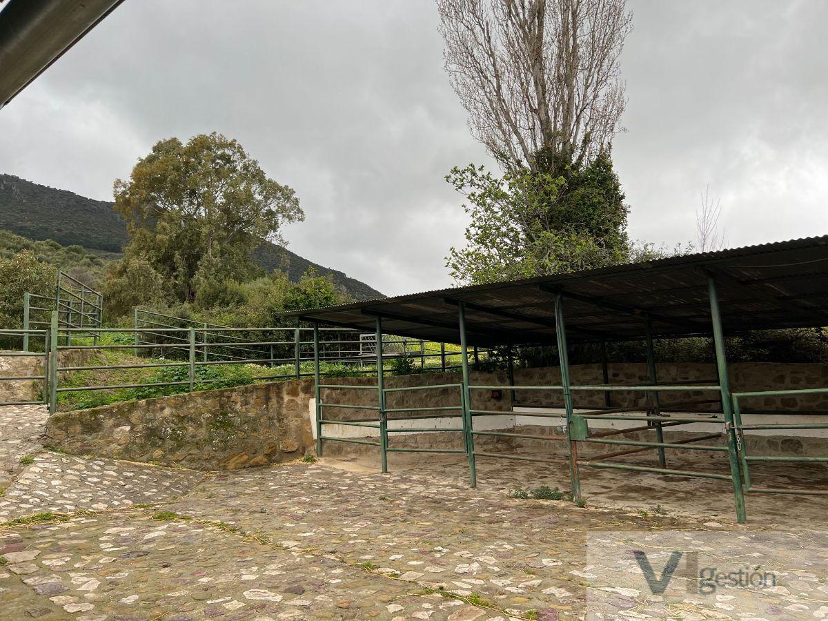For sale of rural property in El Gastor