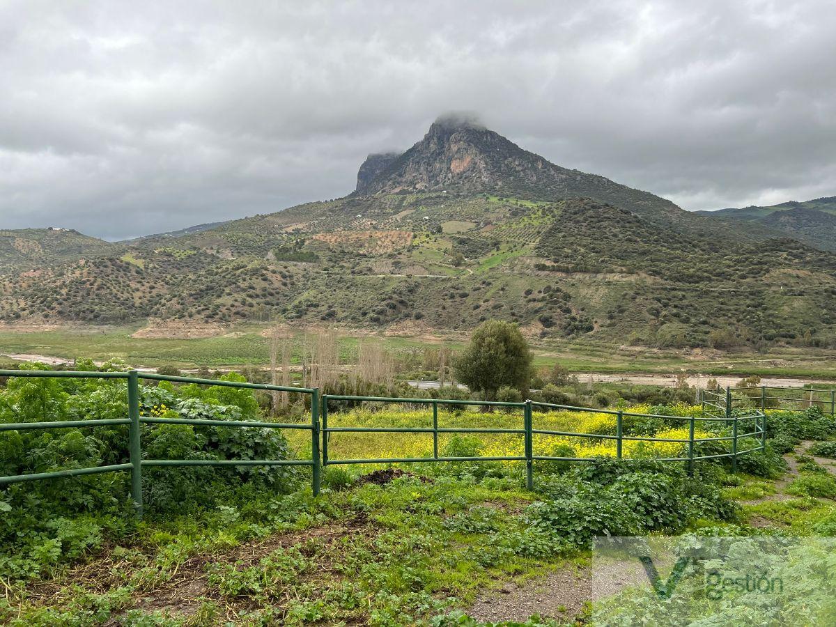 Venta de finca rústica en El Gastor