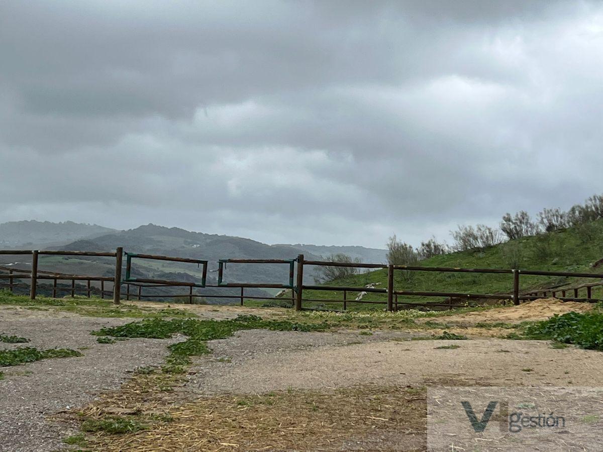 Venta de finca rústica en El Gastor