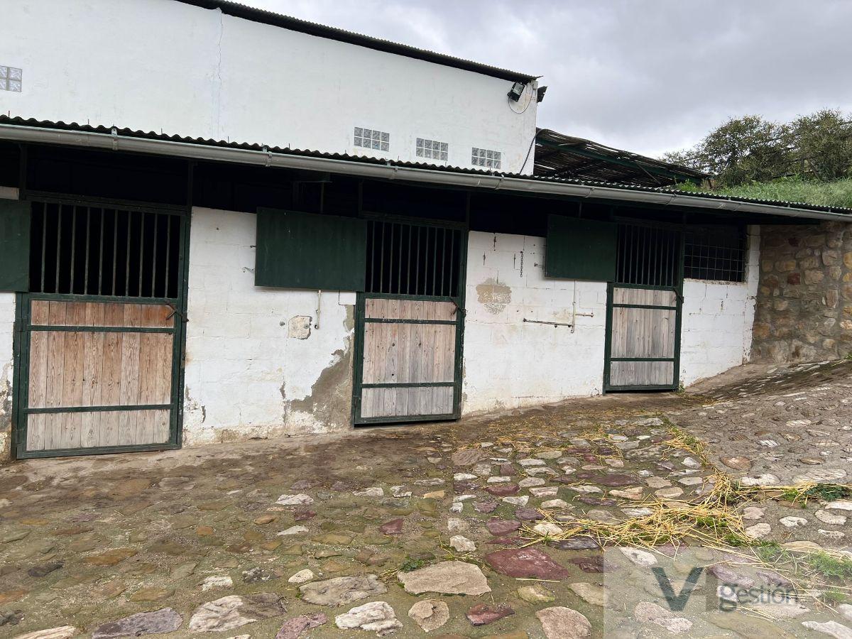 Venta de finca rústica en El Gastor