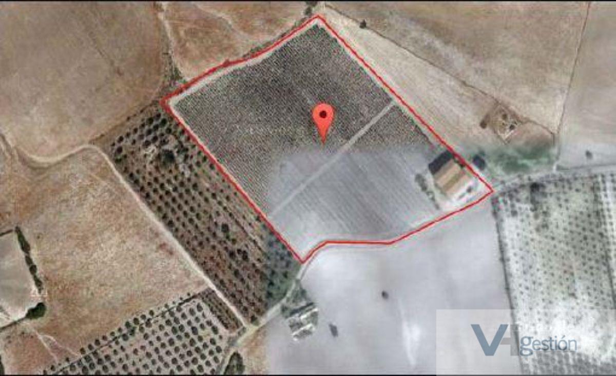 For sale of rural property in El Cuervo