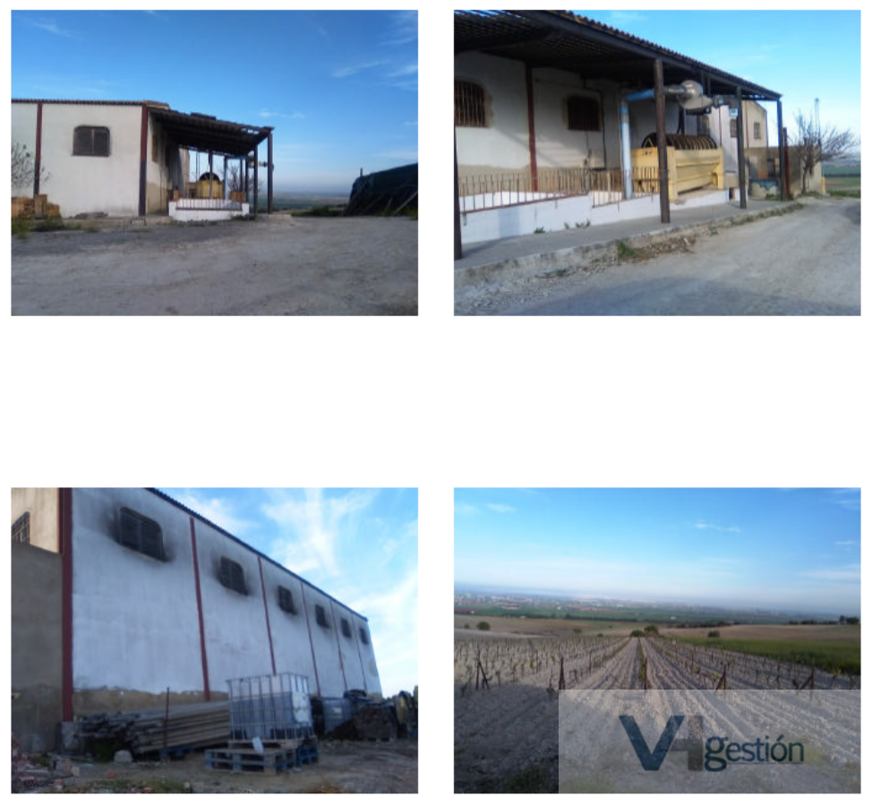 For sale of rural property in El Cuervo
