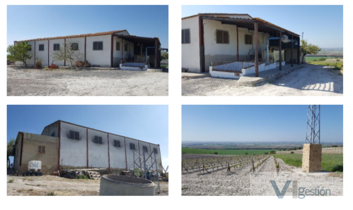 For sale of rural property in El Cuervo