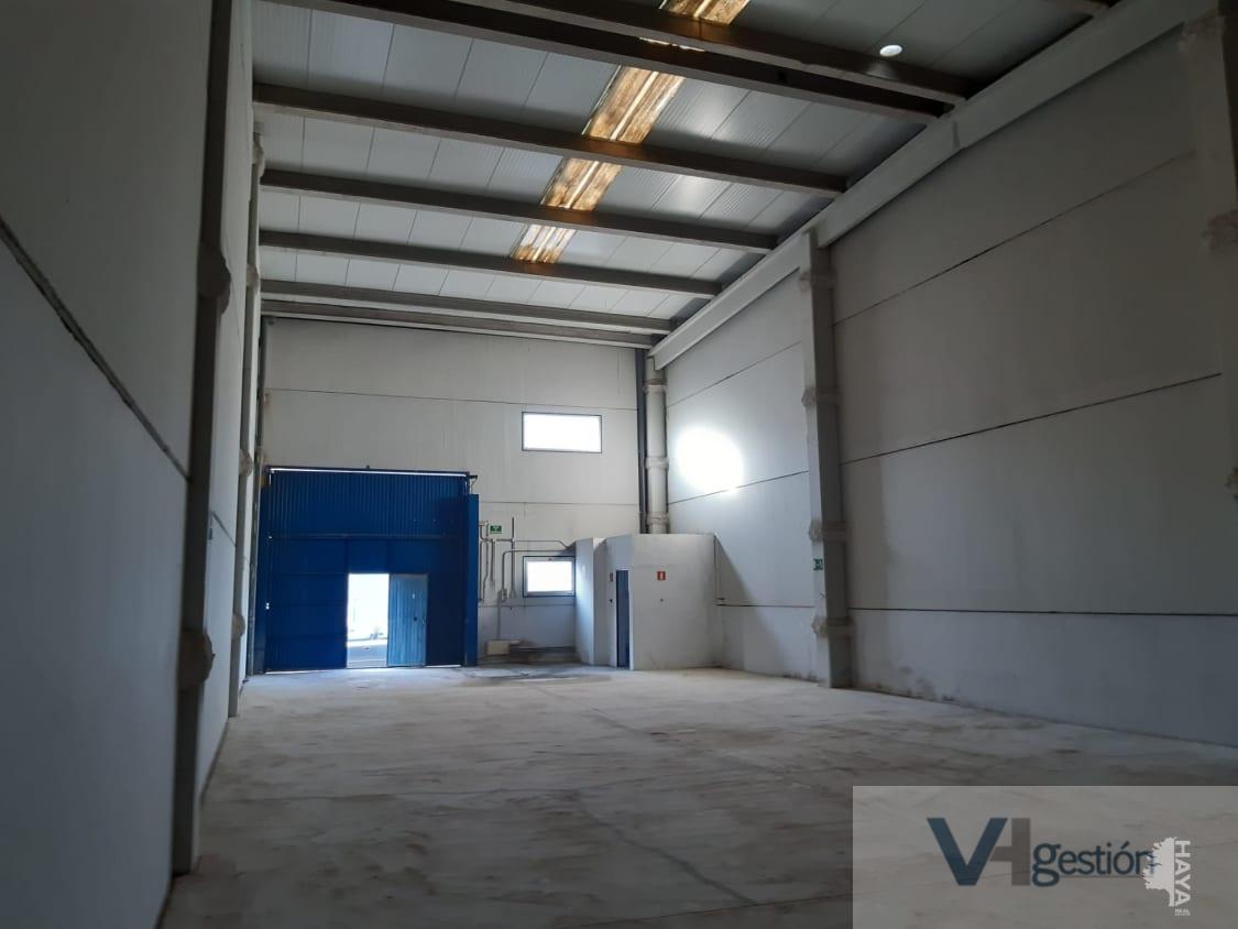 For sale of industrial plant/warehouse in Jerez de la Frontera