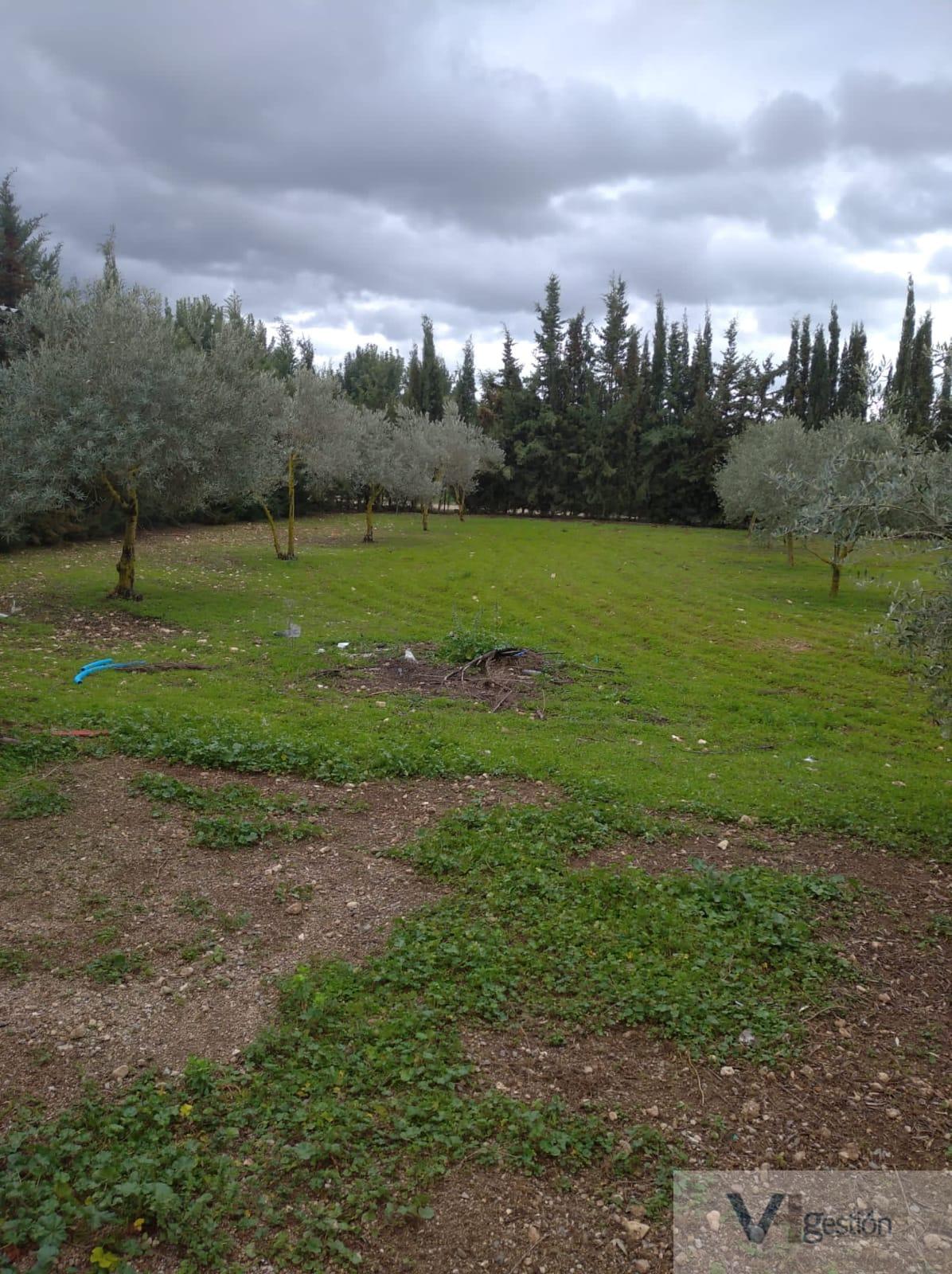 For sale of rural property in Villamartín