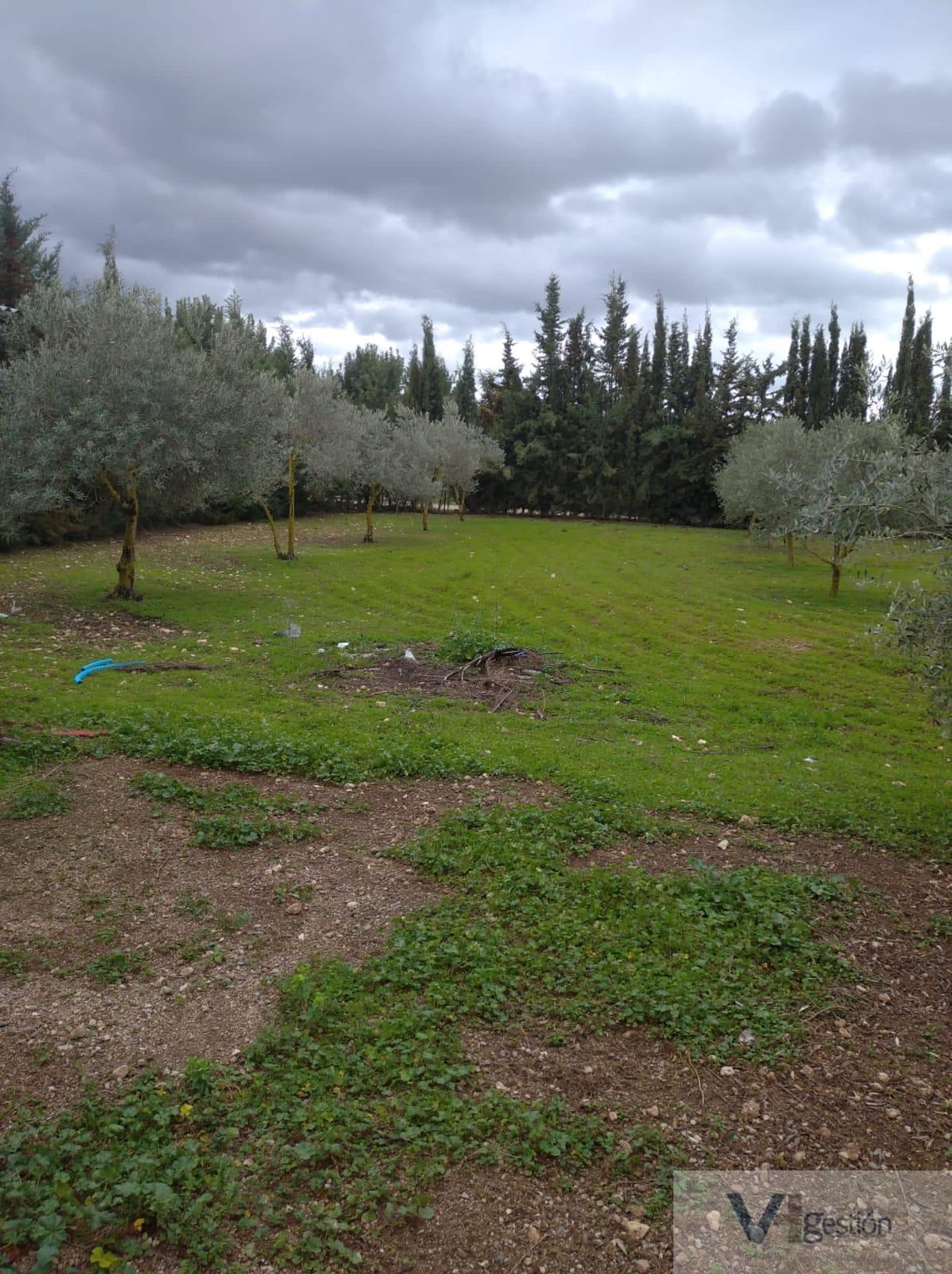 Venta de finca rústica en Villamartín