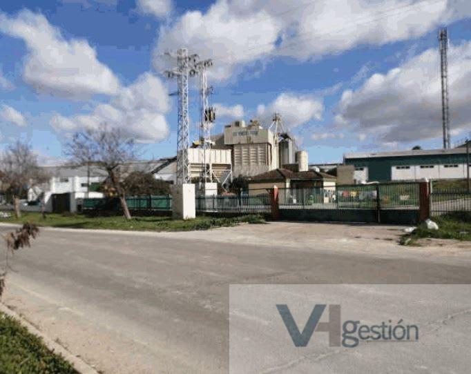 For sale of industrial plant/warehouse in Jerez de la Frontera
