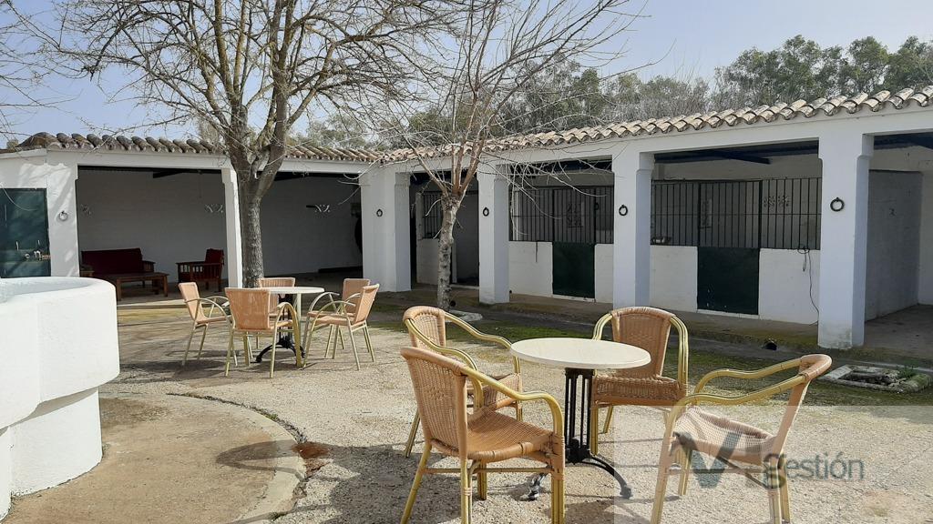 Venta de finca rústica en Villamartín