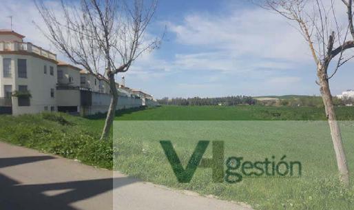 Venta de terreno en Villamartín
