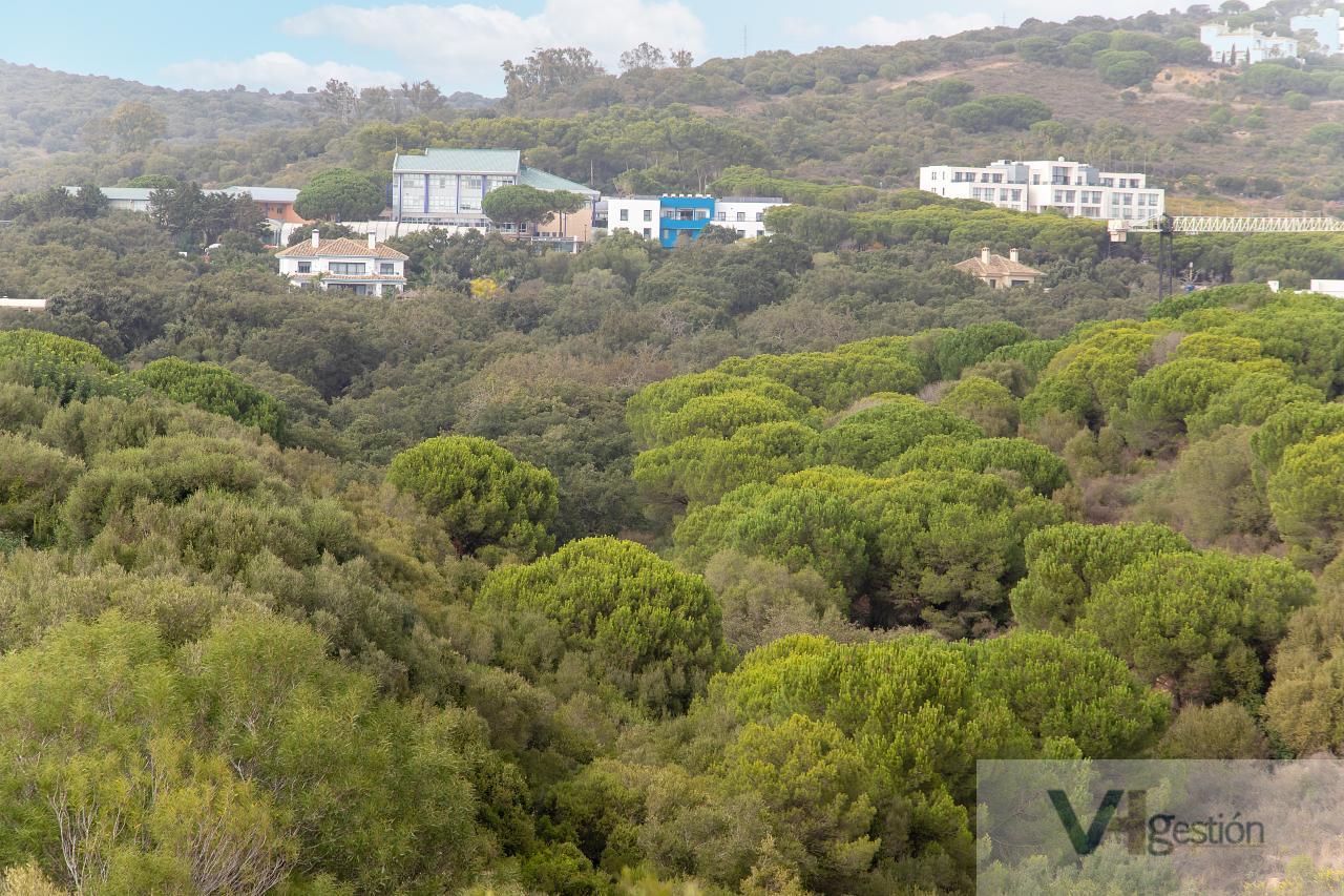 Venta de terreno en Sotogrande
