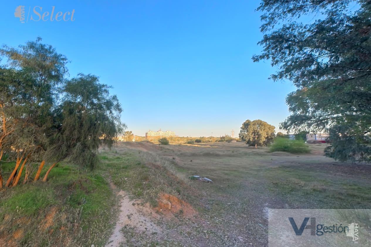For sale of land in Sevilla