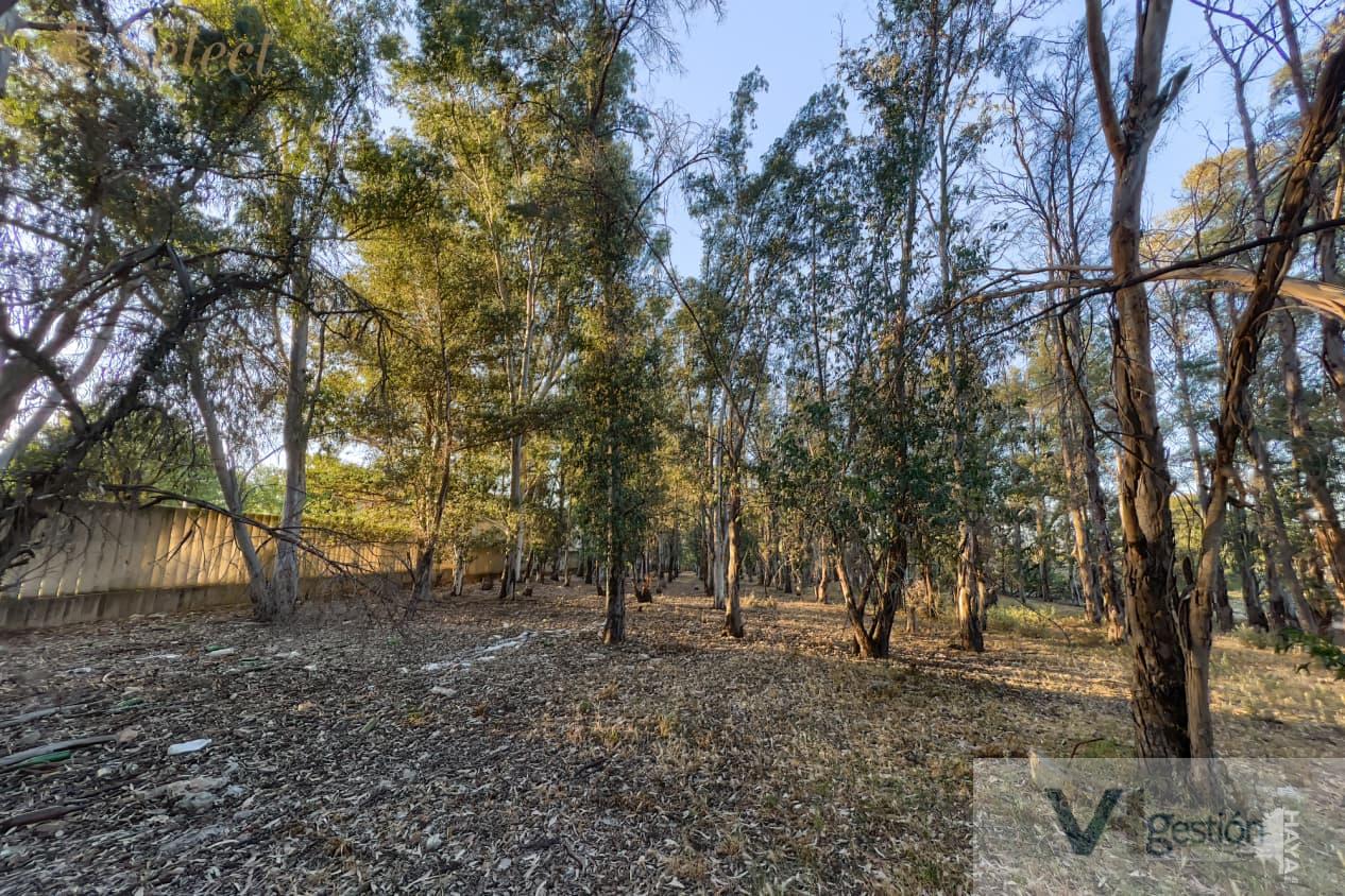 For sale of land in Sevilla