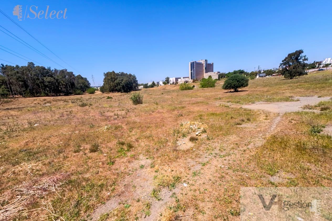 For sale of land in Sevilla