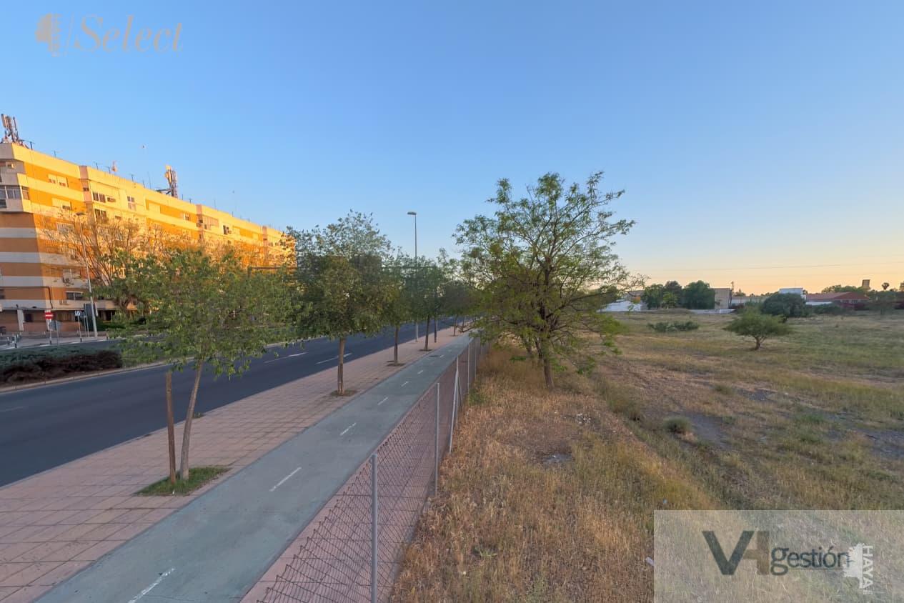 For sale of land in Sevilla