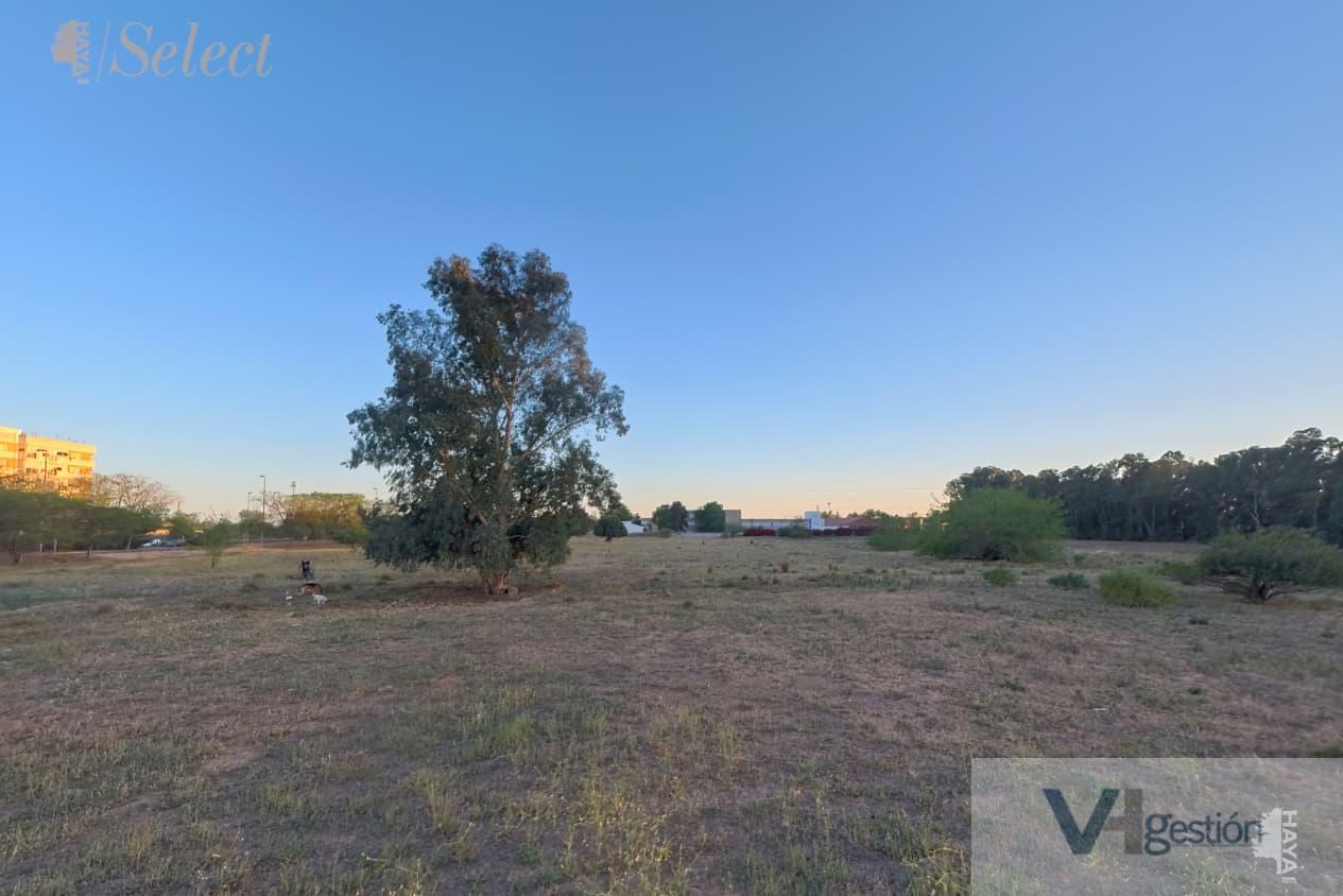 For sale of land in Sevilla