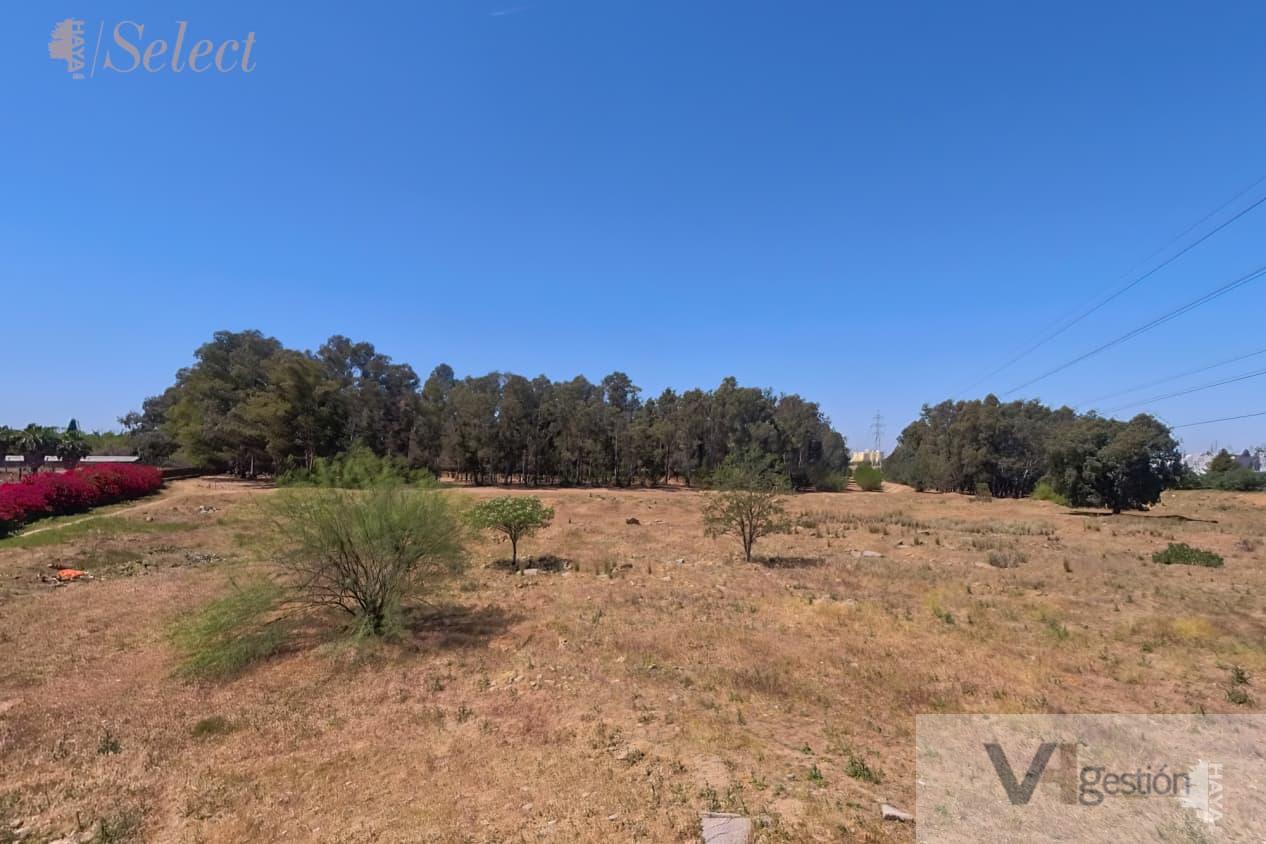 For sale of land in Sevilla