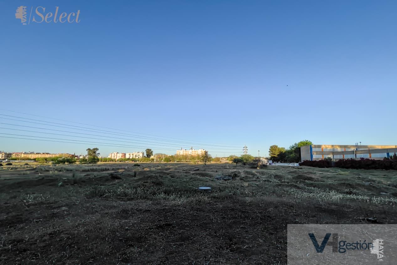For sale of land in Sevilla