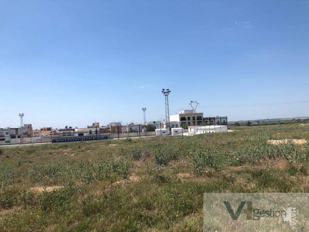 Venta de terreno en Alcalá del Río