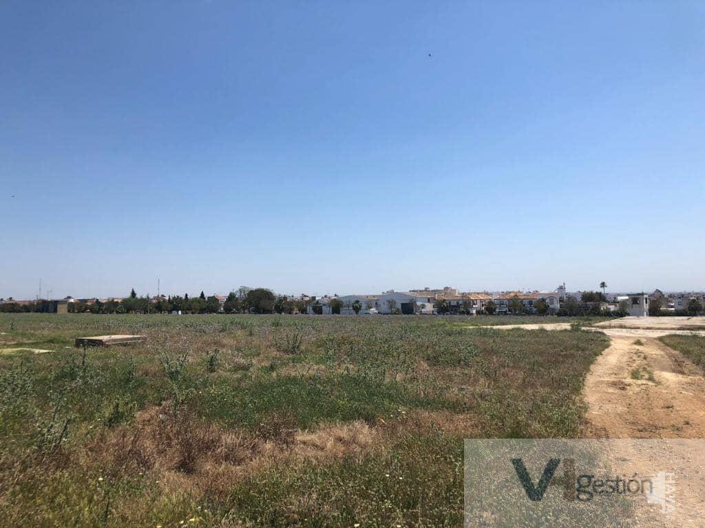 Venta de terreno en Alcalá del Río