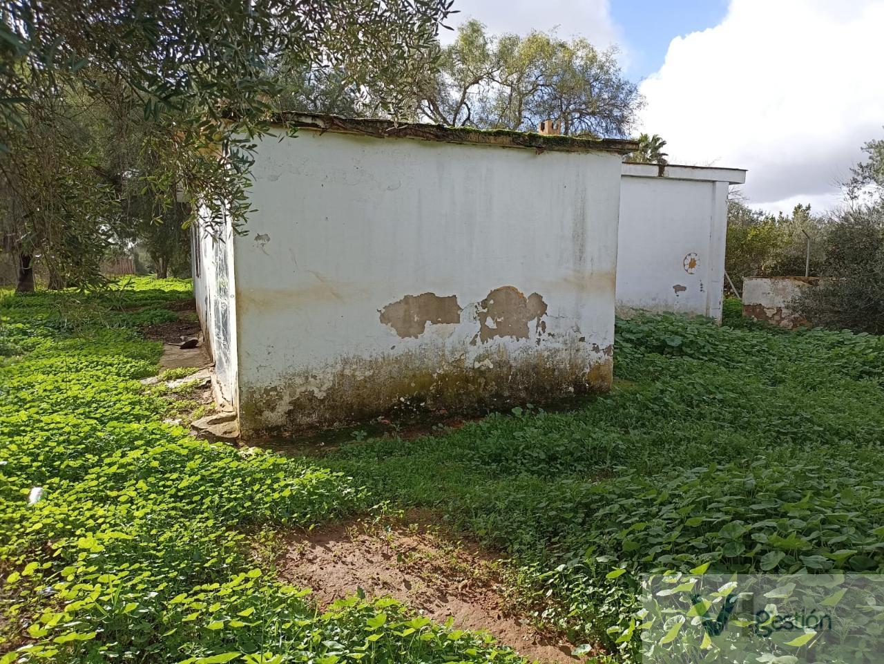 For sale of chalet in Utrera