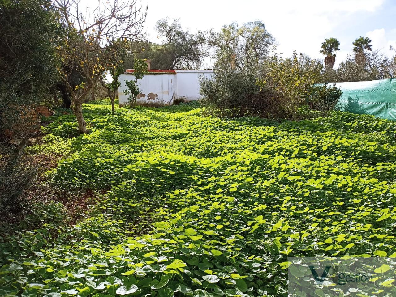 For sale of chalet in Utrera