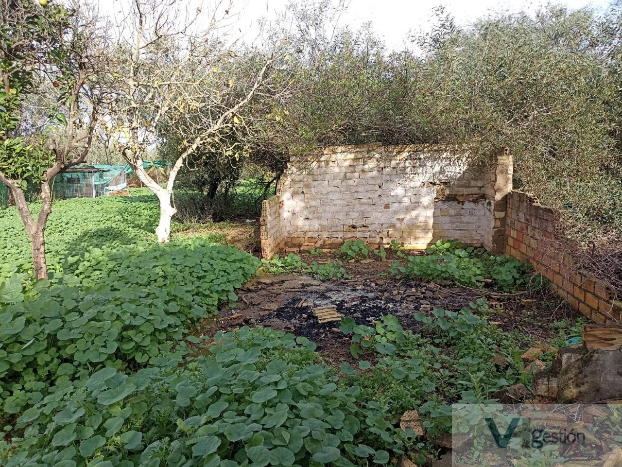 For sale of chalet in Utrera