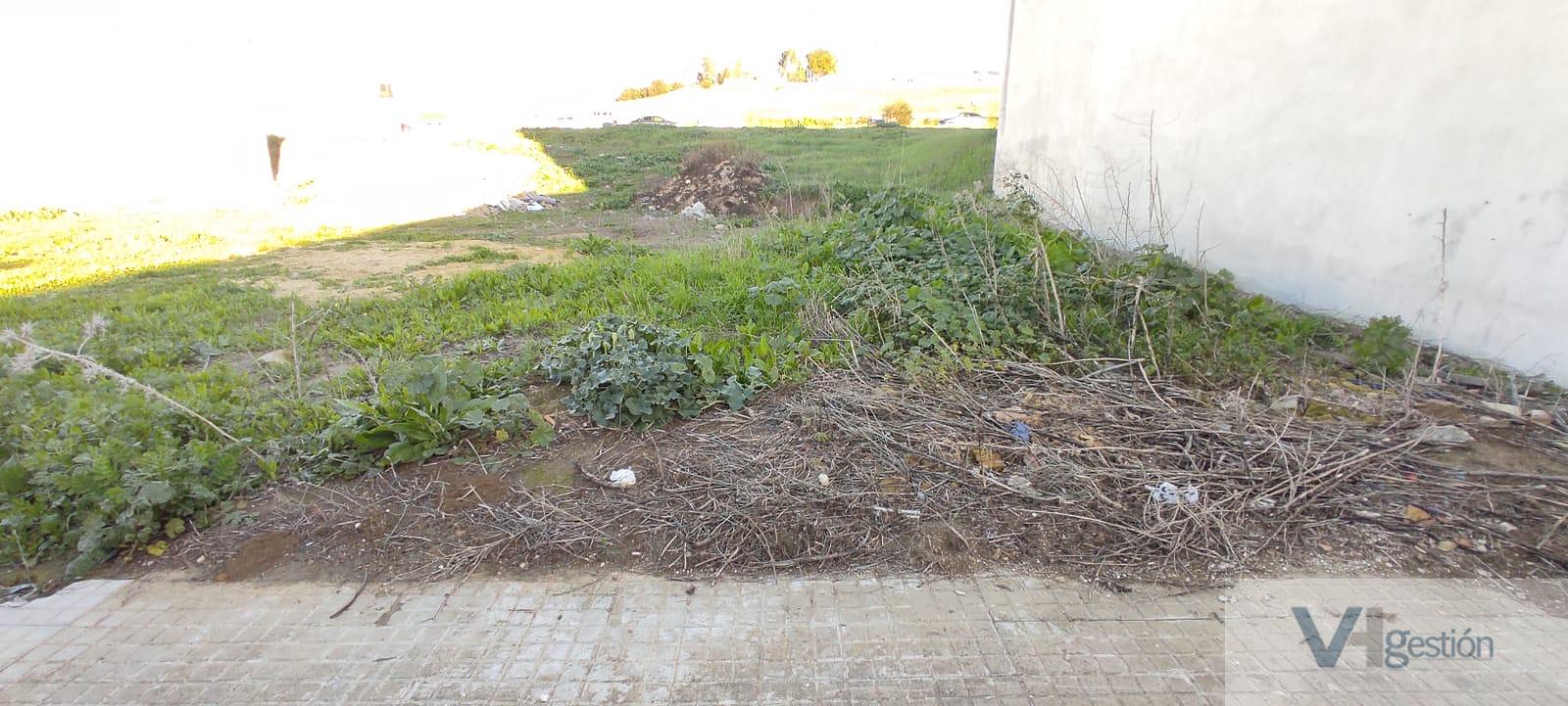For sale of land in Villamartín