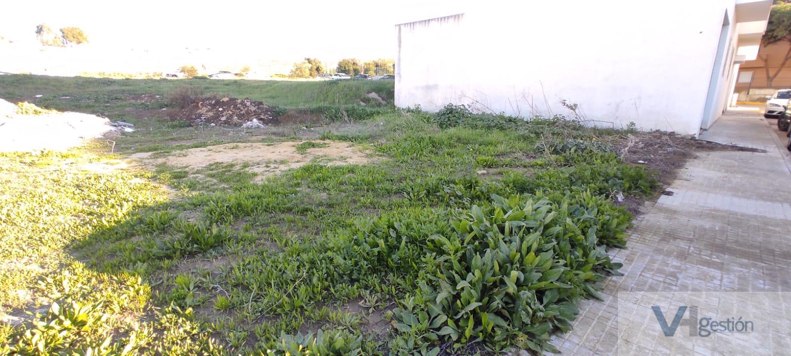 For sale of land in Villamartín