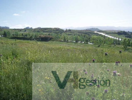 Venta de terreno en Ronda